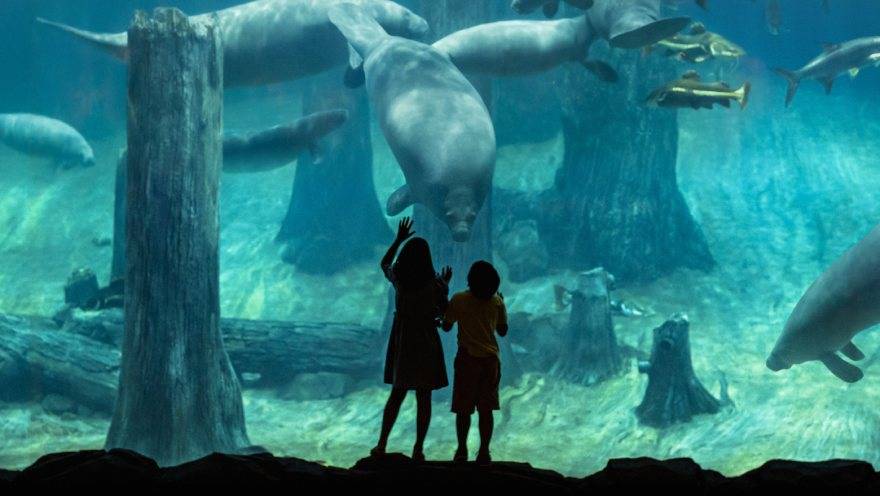 River Wonders Admission