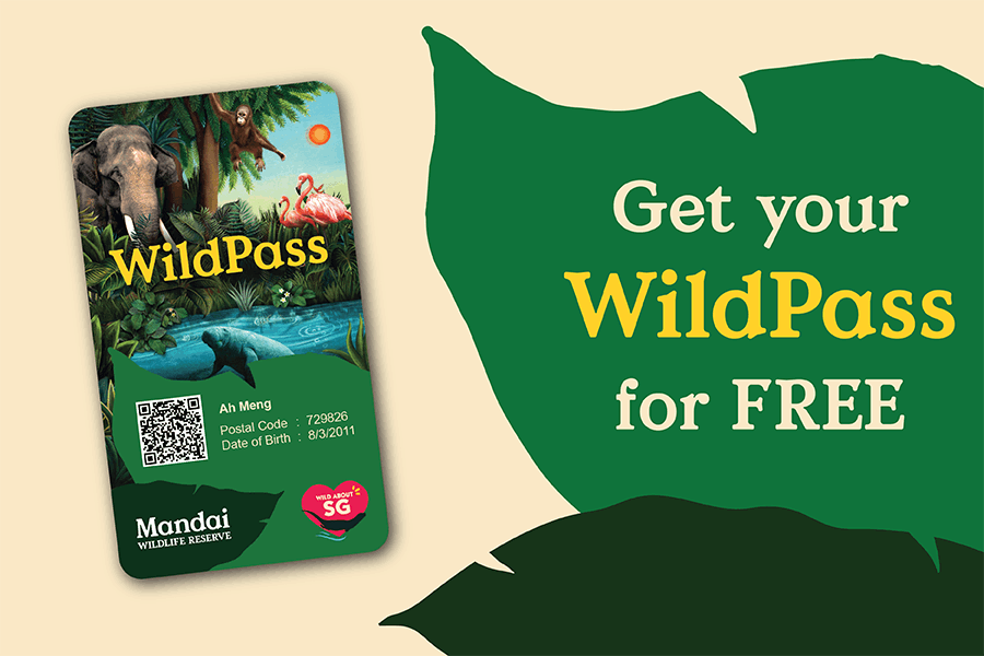 /content/dam/mandai/wildpass/wildpass-md-whatson-900x600.png