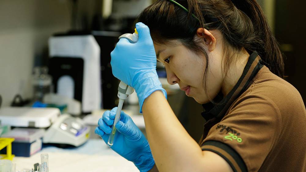 Keeping tabs on Jia Jia