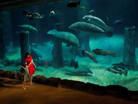 우천 시 대비 계획